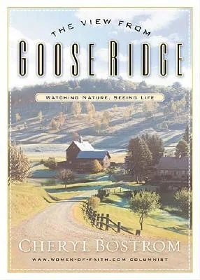 booksnthingswarehouse-11330157