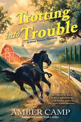 booksnthingswarehouse-11811734