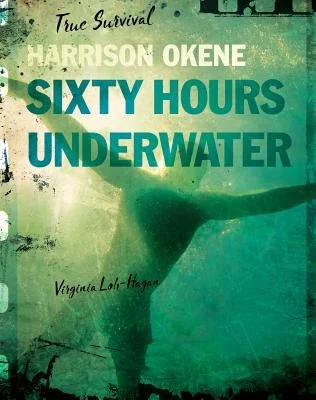 booksnthingswarehouse-11968522