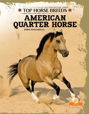 booksnthingswarehouse-11994892
