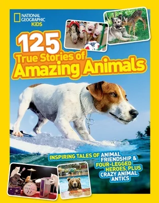 booksnthingswarehouse-12005700