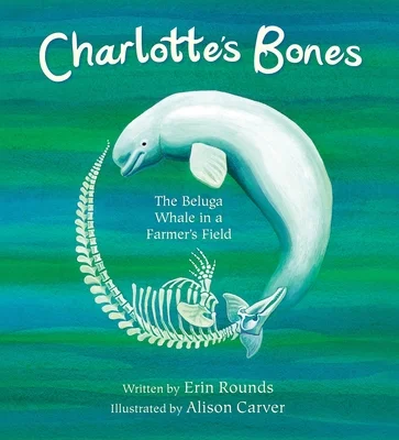 booksnthingswarehouse-12016576