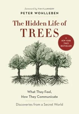 booksnthingswarehouse-12206029