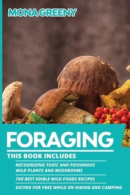 booksnthingswarehouse-12222173