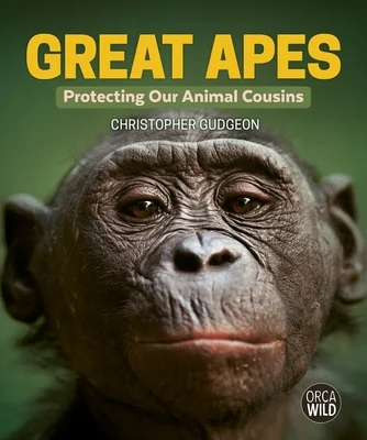 booksnthingswarehouse-21427687