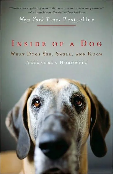 booksnthingswarehouse-21707882
