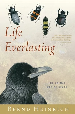 booksnthingswarehouse-21713208