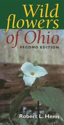 booksnthingswarehouse-21785834