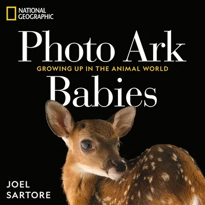 booksnthingswarehouse-21922844