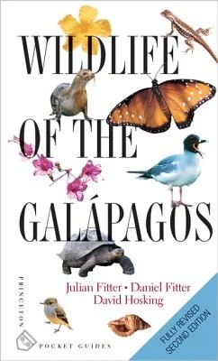 booksnthingswarehouse-31465524