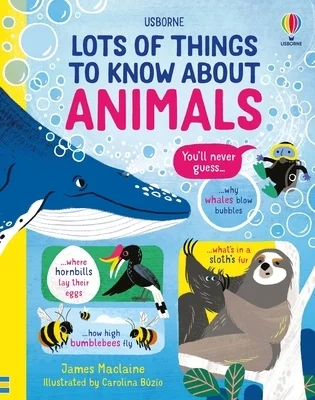 booksnthingswarehouse-31534780