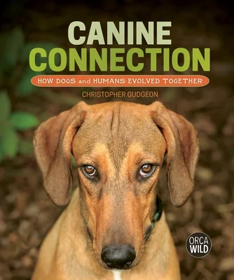 booksnthingswarehouse-31615746