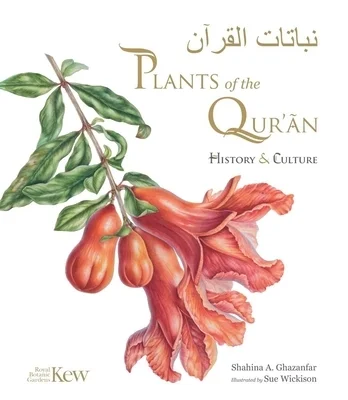 booksnthingswarehouse-31911241