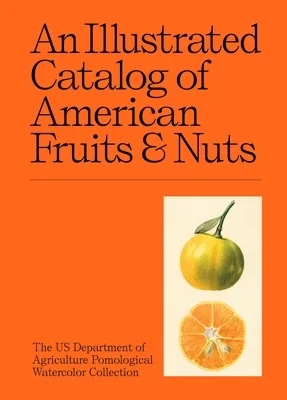 booksnthingswarehouse-31993002