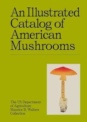 booksnthingswarehouse-31993198