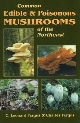 booksnthingswarehouse-32256034