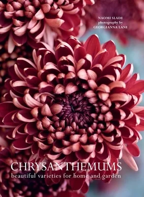 booksnthingswarehouse-41641385
