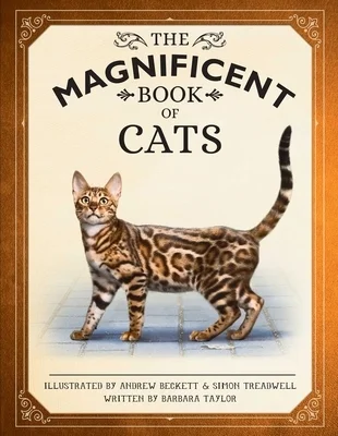 booksnthingswarehouse-41681849