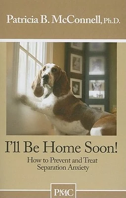 booksnthingswarehouse-41853732