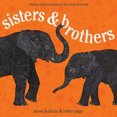 booksnthingswarehouse-41876642