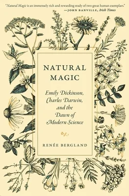 booksnthingswarehouse-41960388