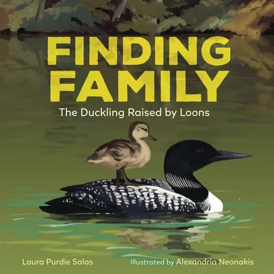 booksnthingswarehouse-41968027