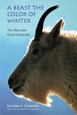 booksnthingswarehouse1532810