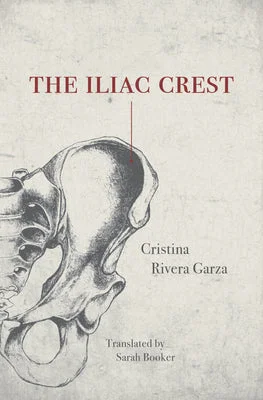 flowerburst-3997620