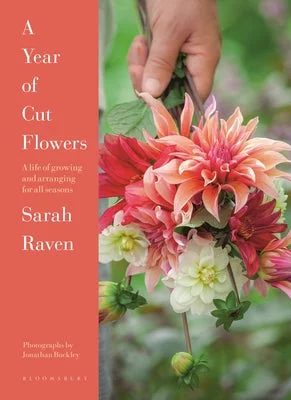 flowerburst-41128912
