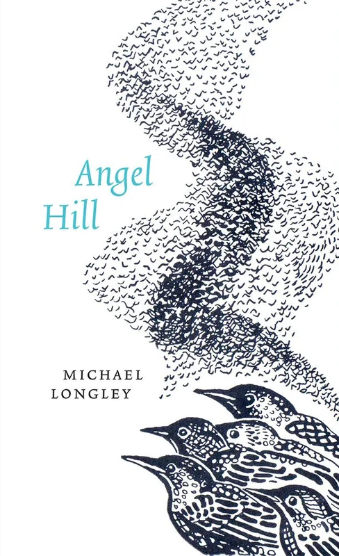 roundaboutbookstore-11441979