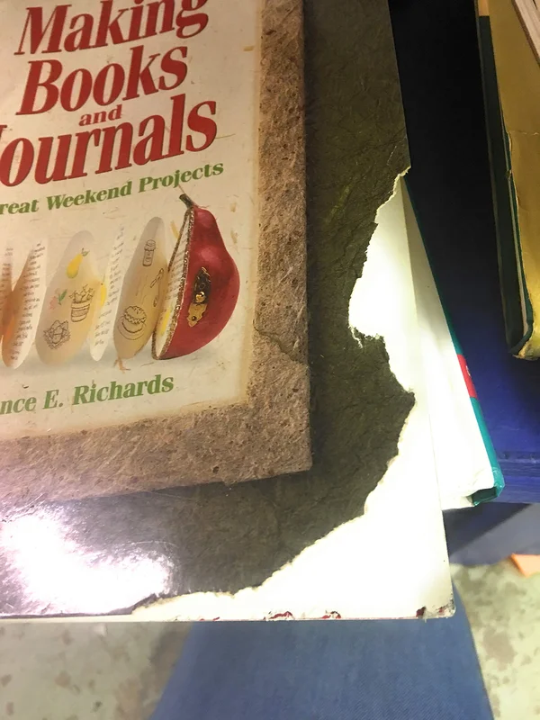 roundaboutbookstore-11470831