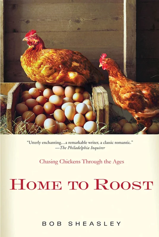 roundaboutbookstore-11500183