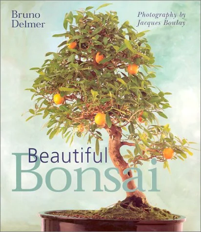 roundaboutbookstore-11501715