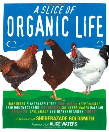 roundaboutbookstore-11513962