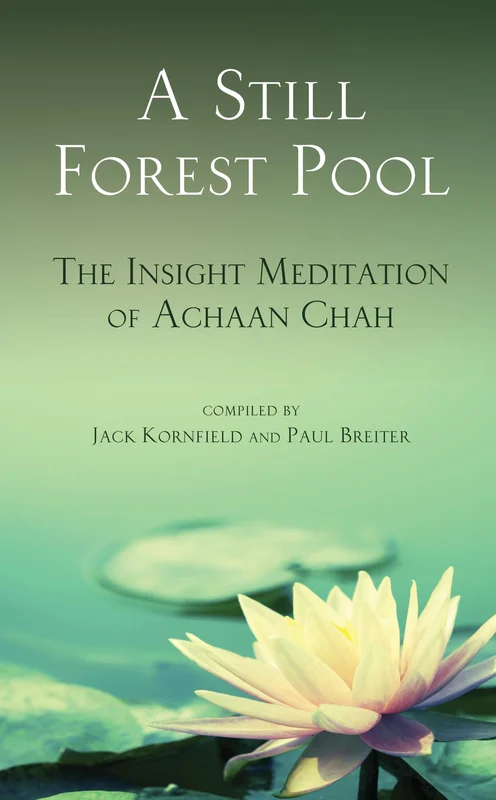 roundaboutbookstore-11595065
