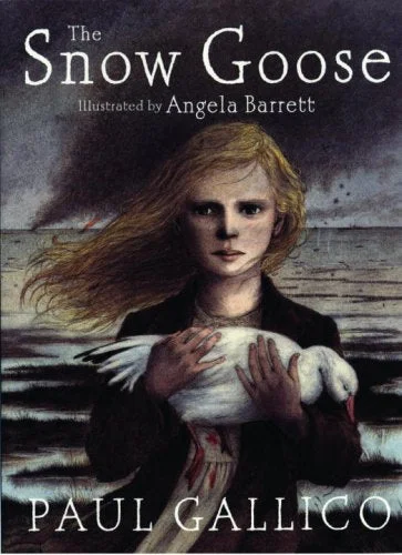 roundaboutbookstore-11767213