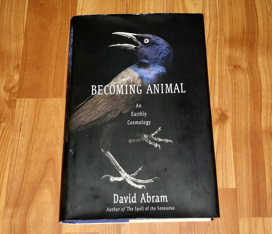 roundaboutbookstore-11827485