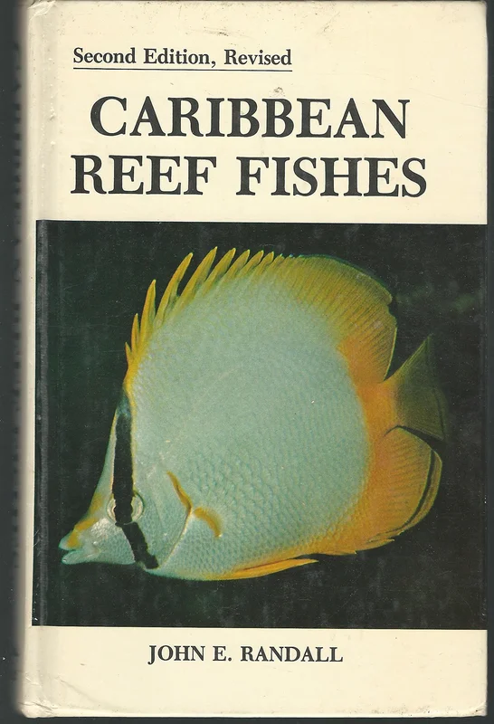 roundaboutbookstore-11871708