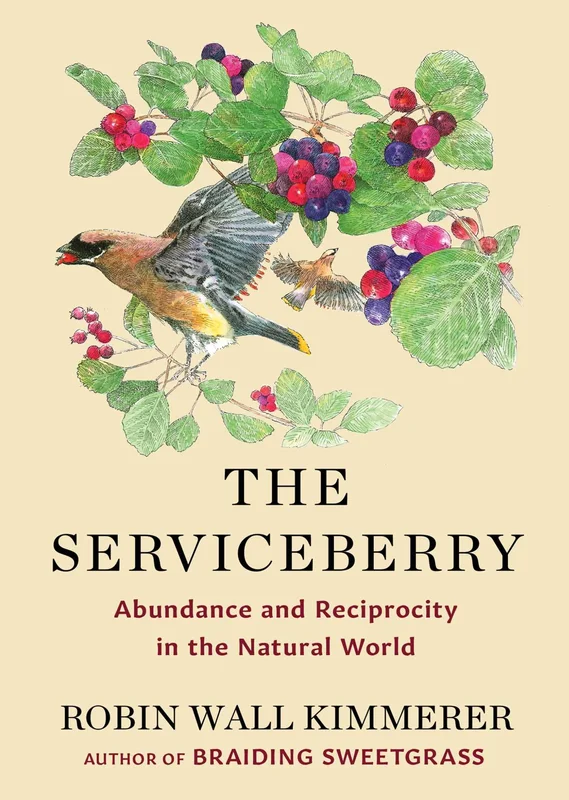 roundaboutbookstore1018865