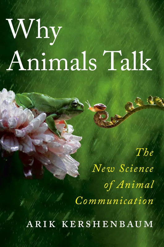 roundaboutbookstore1021334