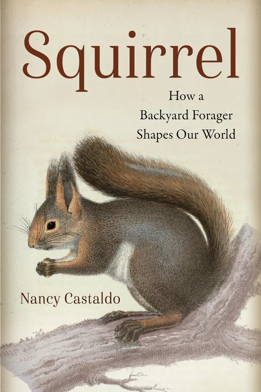 roundaboutbookstore1108810