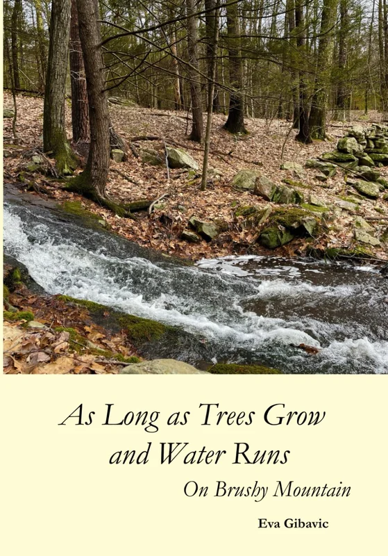 roundaboutbookstore1155063