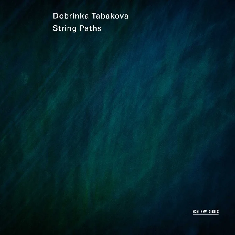 roundaboutbookstore1311385