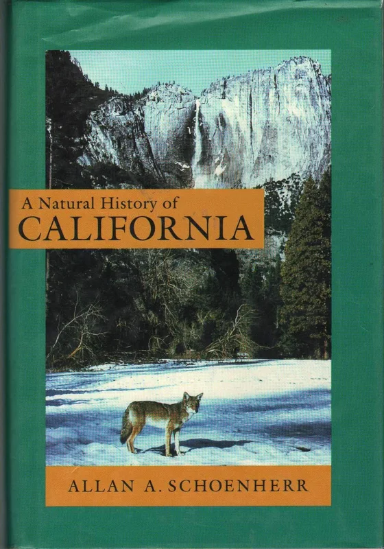 roundaboutbookstore1376105