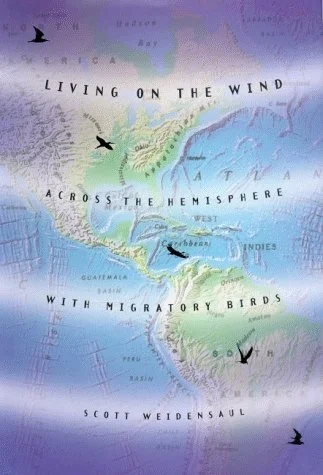 roundaboutbookstore1376429