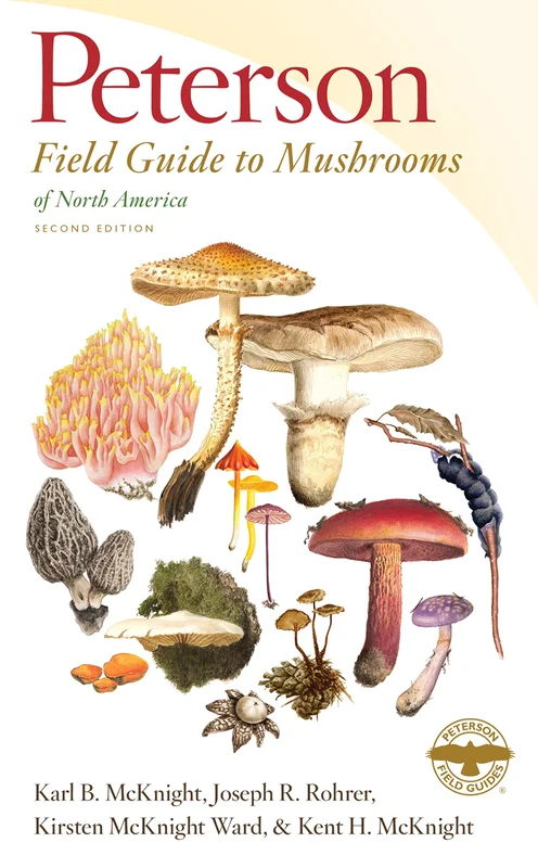 roundaboutbookstore953142
