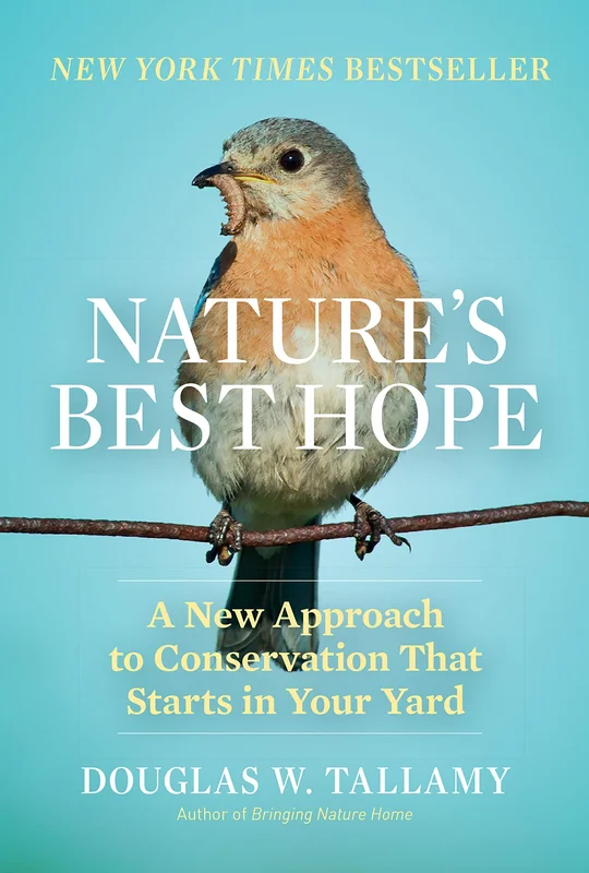 roundaboutbookstore966353