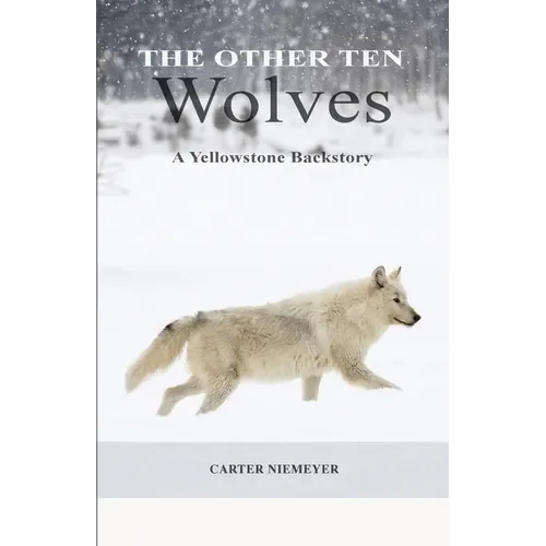 welibooks1007771