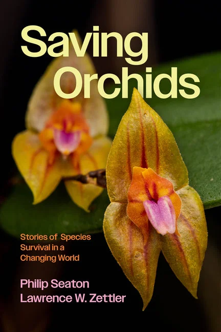 worldcaribbeanbooks1093569