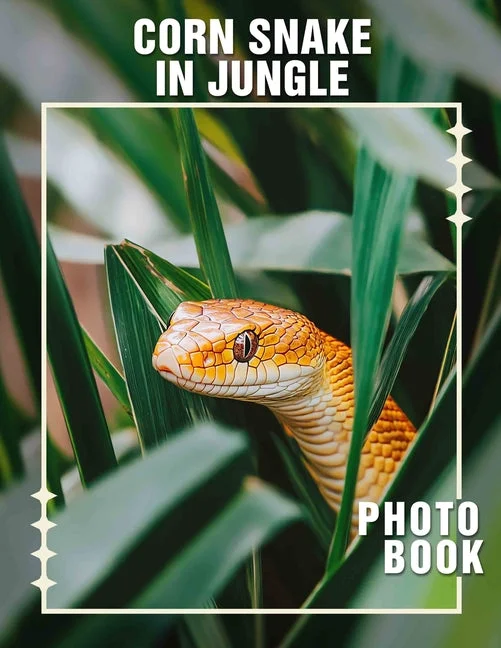 worldcaribbeanbooks1255576